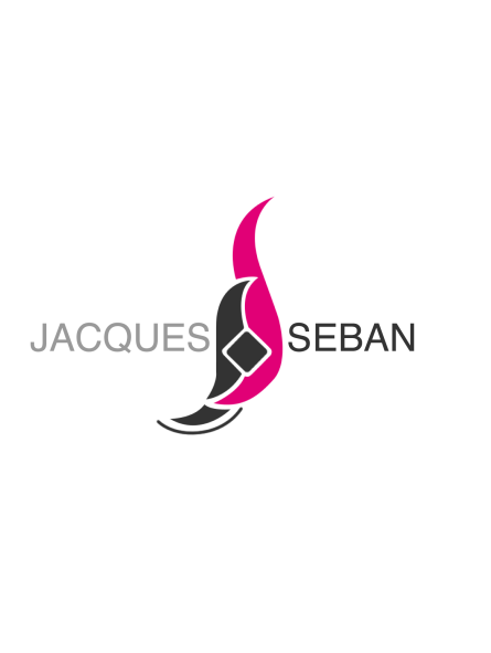 Bigoudis permanente cheveux ECOLE JACQUES SEBAN rouge/bleu long X12