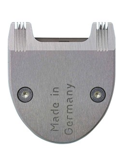 Tête de coupe tribale...