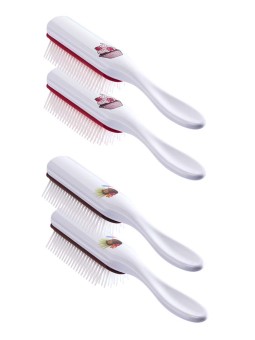 4 brosses D3 parfumées. 2 fraises et 2 coco DENMAN