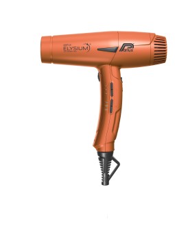 Sèche-cheveux professionnel...