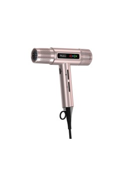 Séchoir professionnel WAHL...