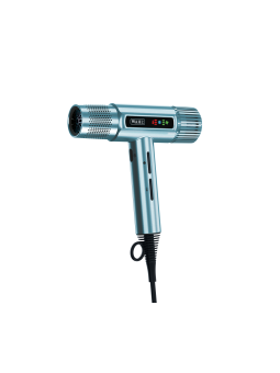 Séchoir professionnel WAHL...