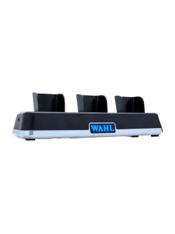 Socle de charge 3023997...