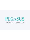 Pegasus